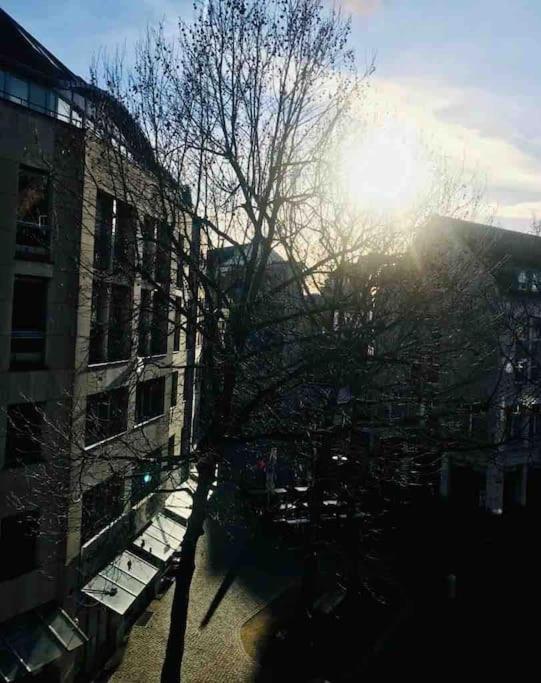 Charmantes 1Zi Apartment Im Herzen Von Braunschweig Mit Balkon Экстерьер фото